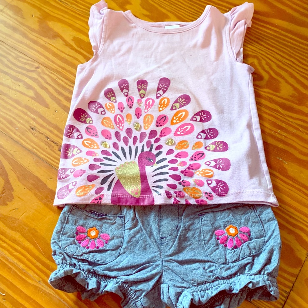 GYMBOREE Outfit